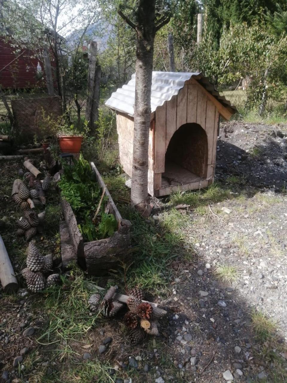Cabana May Pao, Para 3 En Melipeuco Cerca Del Parque Nacional Conguillio Zewnętrze zdjęcie