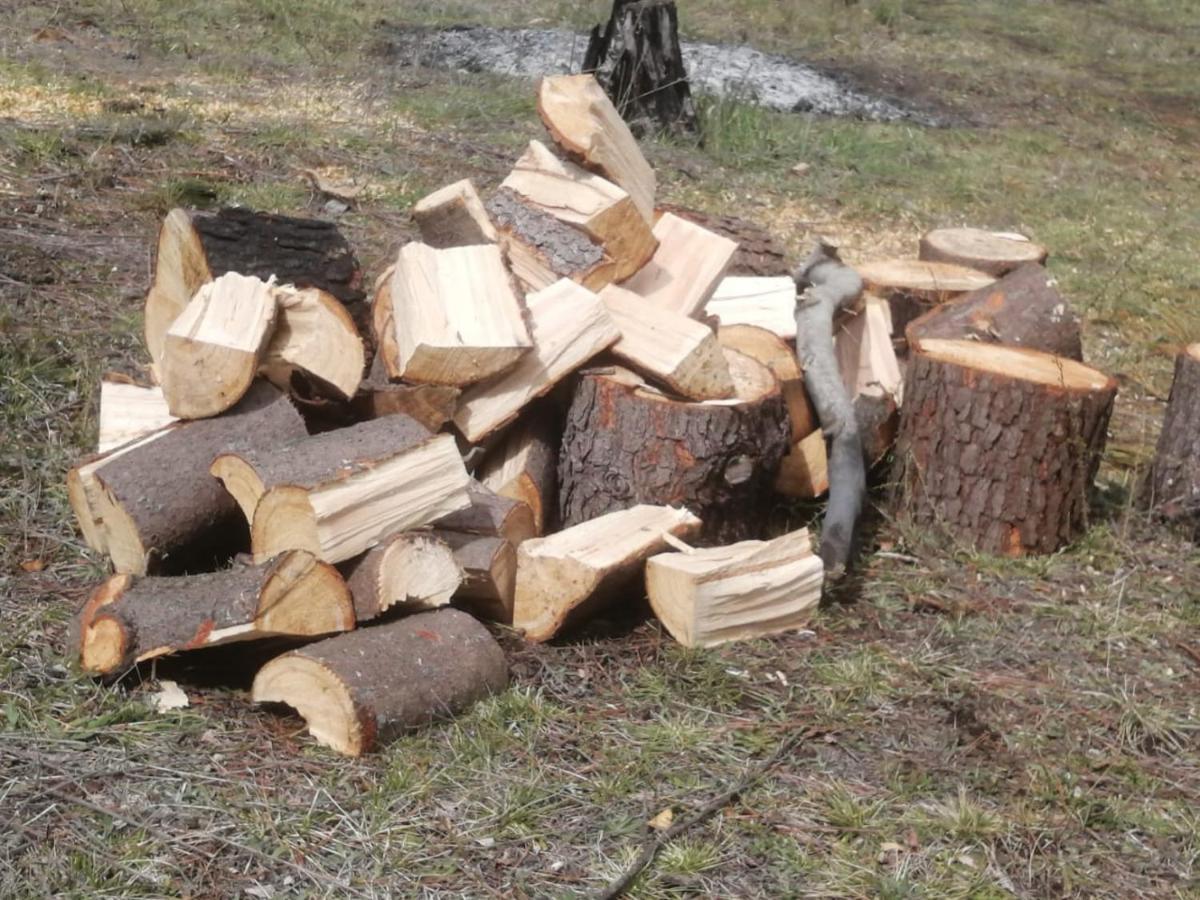 Cabana May Pao, Para 3 En Melipeuco Cerca Del Parque Nacional Conguillio Zewnętrze zdjęcie