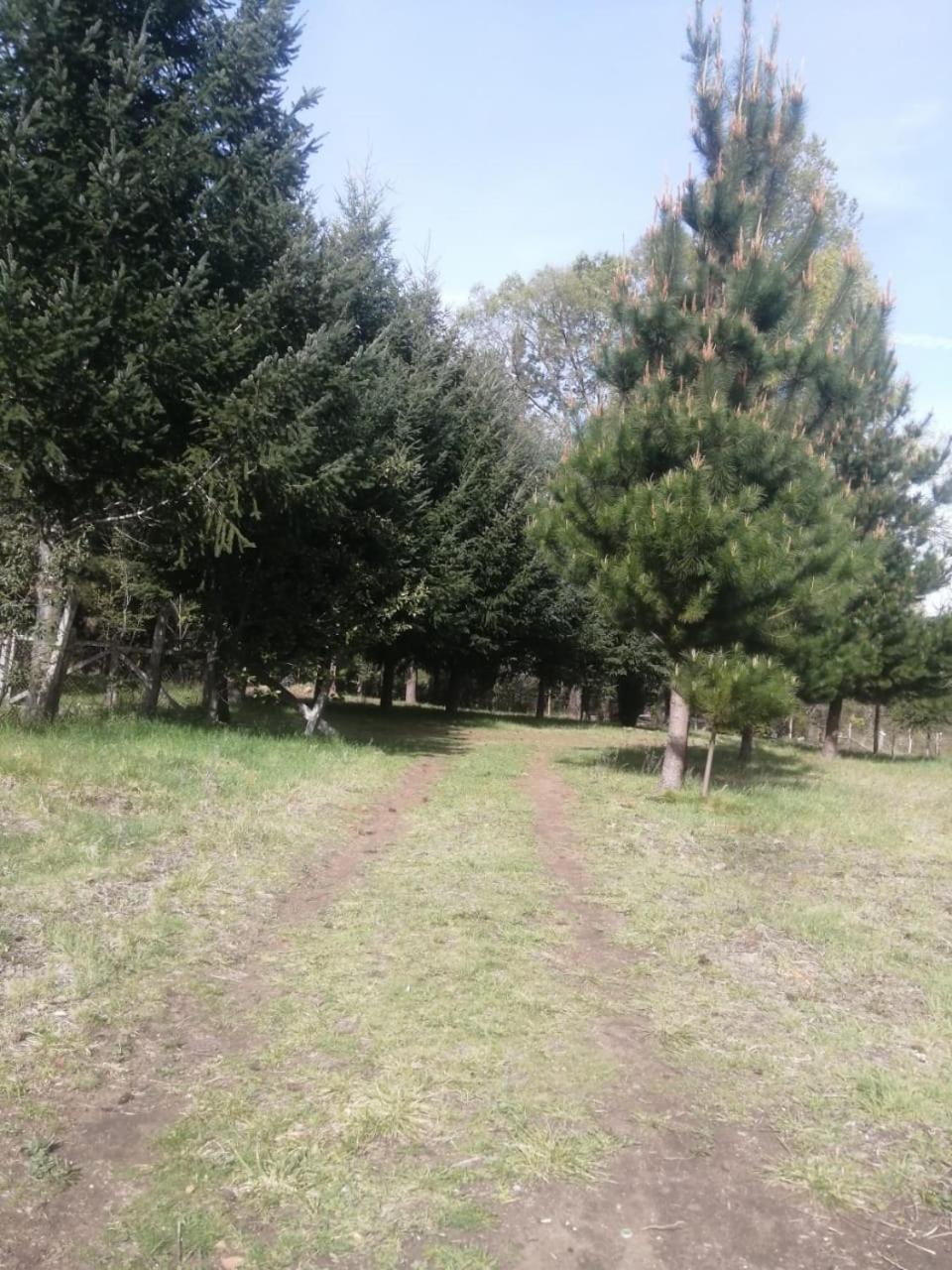 Cabana May Pao, Para 3 En Melipeuco Cerca Del Parque Nacional Conguillio Zewnętrze zdjęcie