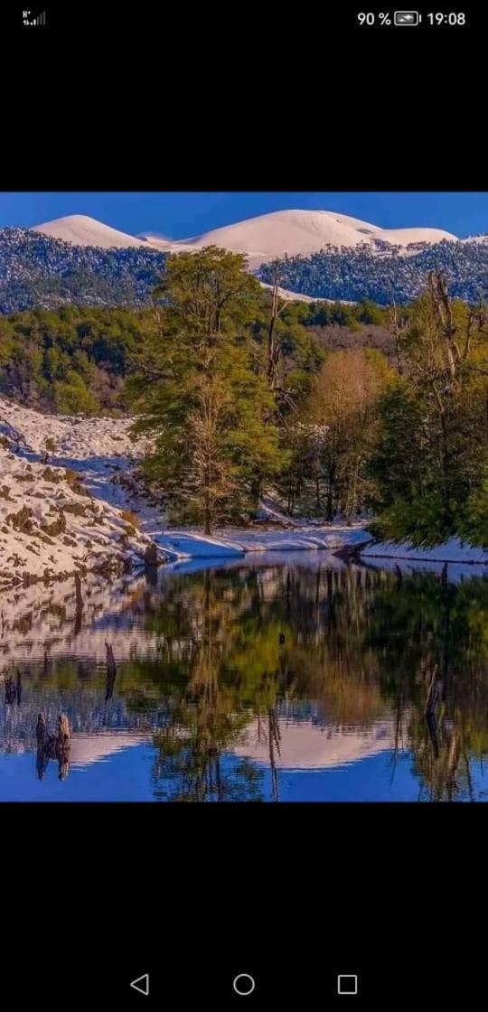 Cabana May Pao, Para 3 En Melipeuco Cerca Del Parque Nacional Conguillio Zewnętrze zdjęcie
