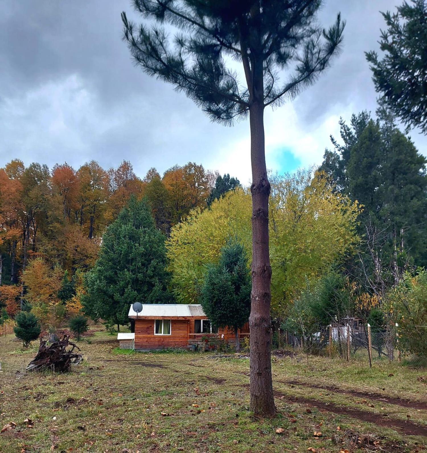 Cabana May Pao, Para 3 En Melipeuco Cerca Del Parque Nacional Conguillio Zewnętrze zdjęcie