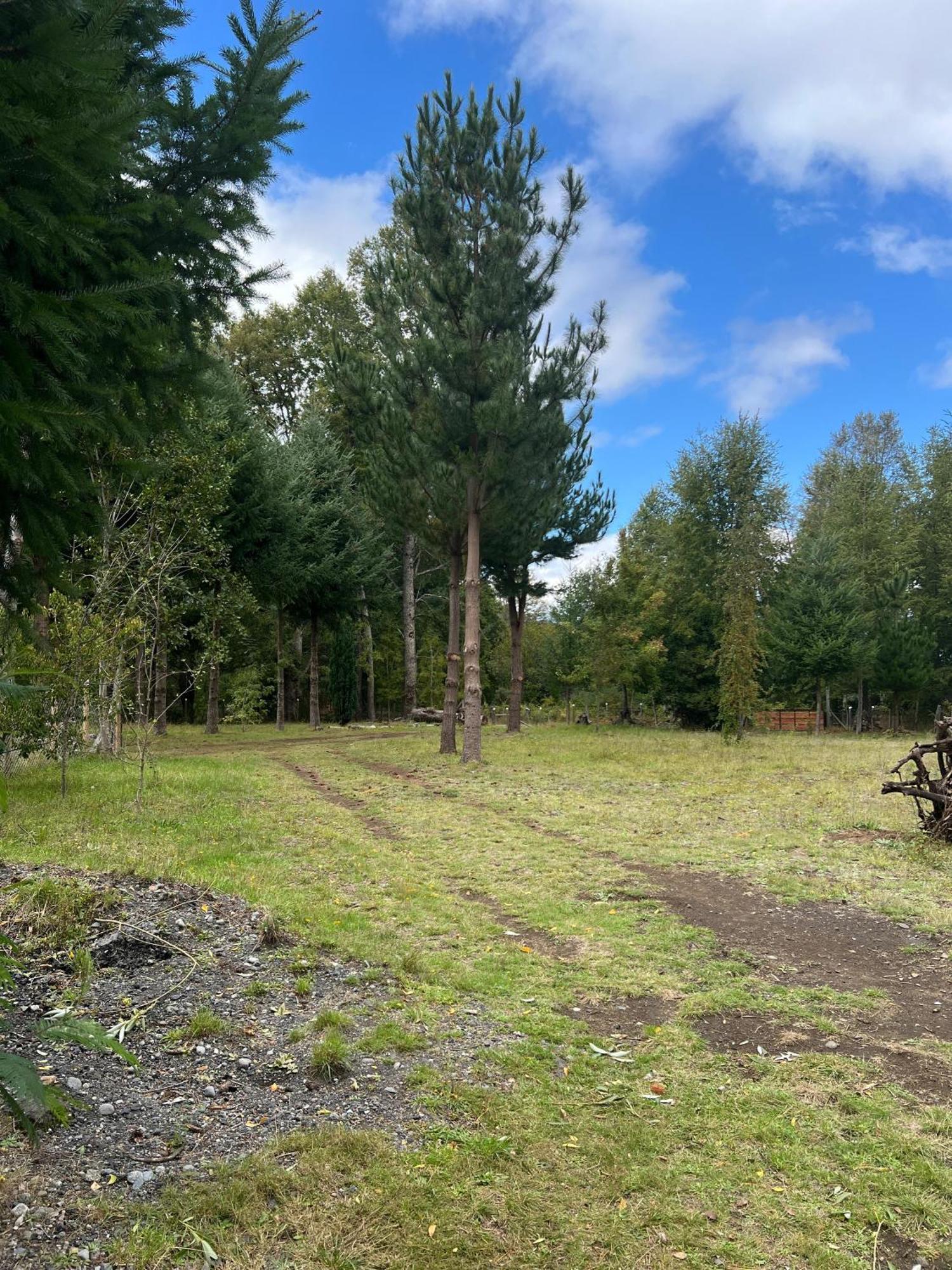 Cabana May Pao, Para 3 En Melipeuco Cerca Del Parque Nacional Conguillio Zewnętrze zdjęcie